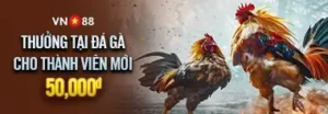 Thưởng tại đá gà cho thành viên mới 50000đ