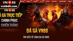 Tìm hiểu về sảnh đá gà VN88